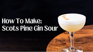 How To Make A Gin Sour - Tayport Distillery