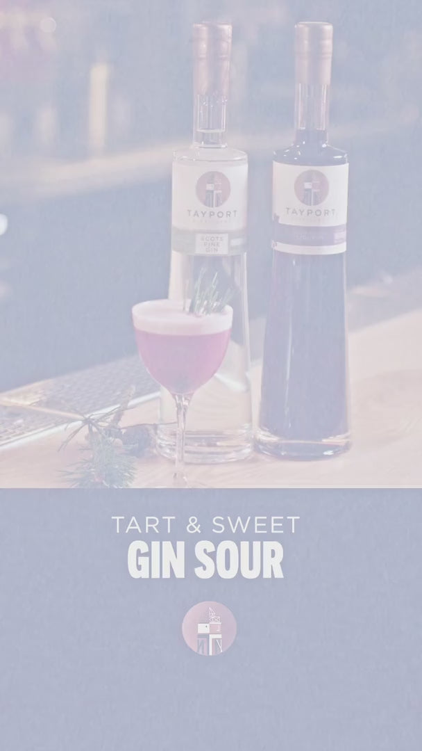 How to make Gin Sour Cocktail Video