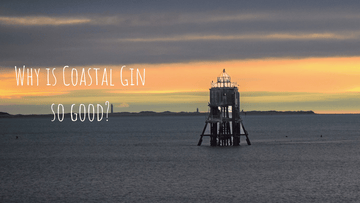 Why is Coastal Gin so good?