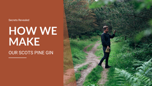 How We Make Our Scots Pine Gin: From Forest to Glass