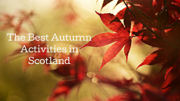 Discover the Best Autumn Activities in Scotland - Tayport Distillery