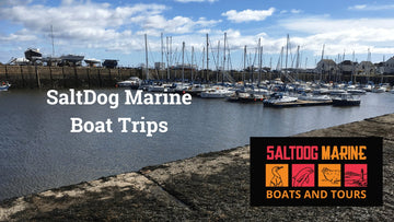 Set Sail with SaltDog Marine! Exploring the River Tay Like Never Before - Tayport Distillery