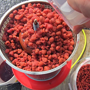Raspberries being put into a fruit press before juicing