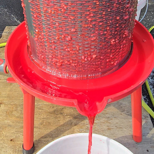 Raspberries being pressed in a fruit press prior to making into a raspberry liqueur