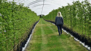 Women Walking In Green Garden 