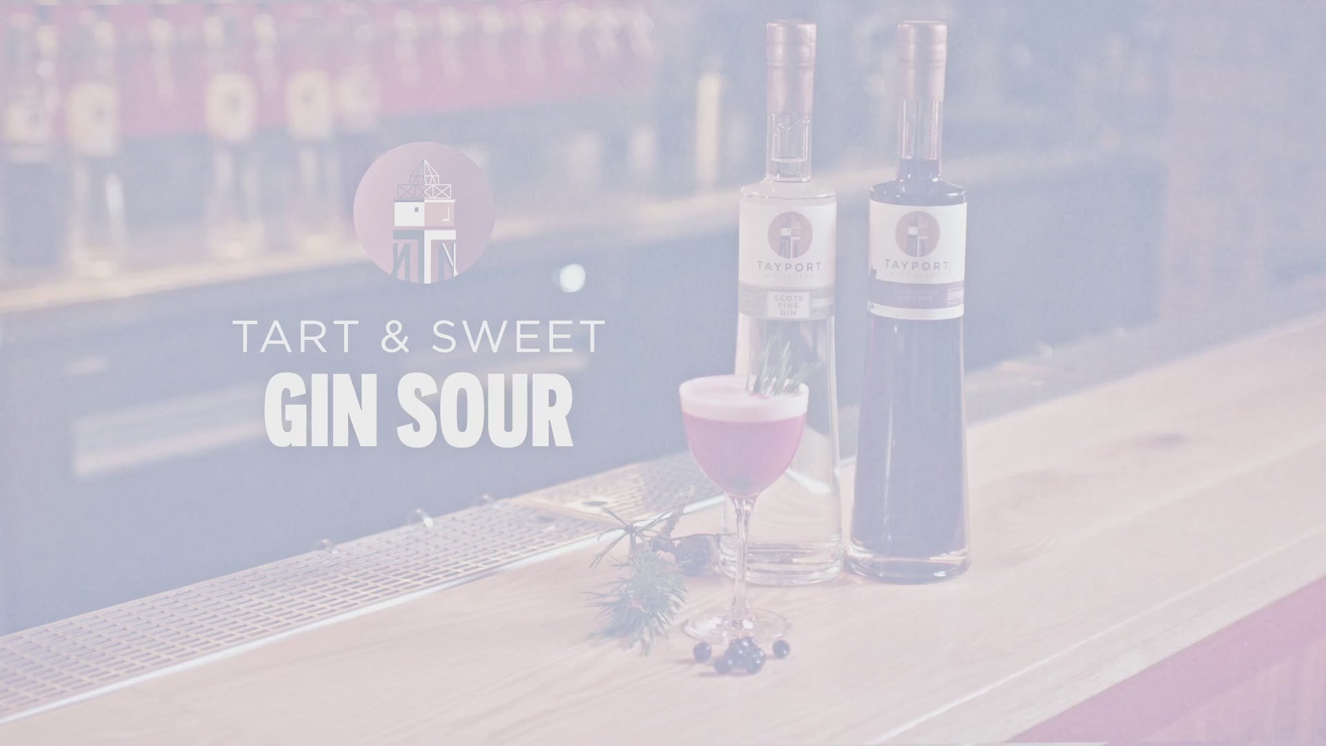How to make Gin Sour Cocktail Video